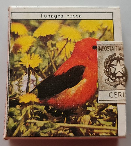Vintage autentico italia - autentico,